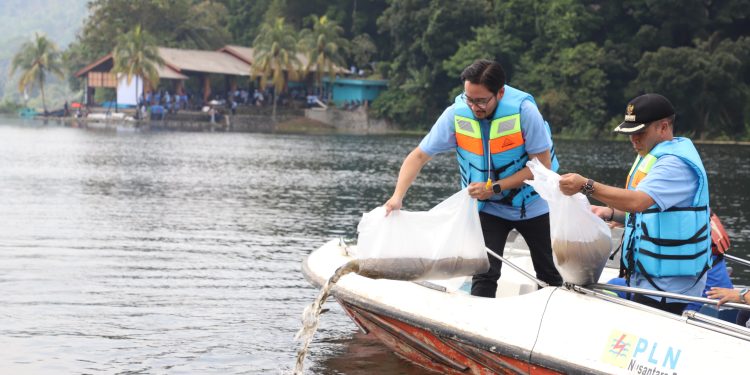 Jeje Govinda Tebar Ratusan Ribu Benih Ikan di Waduk Cirata