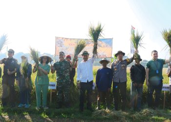 Dukung Program Swasembada Pangan Nasional, Forkopimda Kab Bandung Panen Padi di Dayeuhkolot