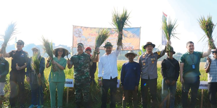 Dukung Program Swasembada Pangan Nasional, Forkopimda Kab Bandung Panen Padi di Dayeuhkolot