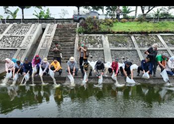 Tingkatan Budidaya Ikan, Pemkab Bandung Tebar Benih Ikan di 4 Lokasi