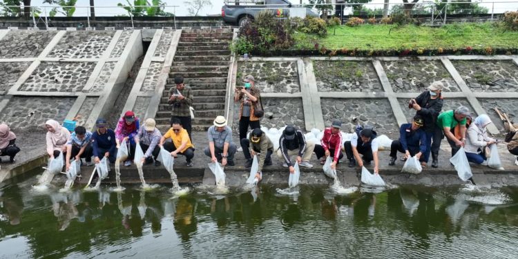 Tingkatan Budidaya Ikan, Pemkab Bandung Tebar Benih Ikan di 4 Lokasi