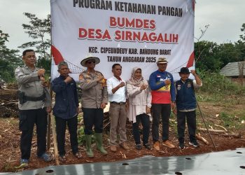 Luncurkan Program Ketahanan Pangan, BUMDes Sirnagalih KBB Tanam Ribuan Bibit Melon dan Kacang Inci