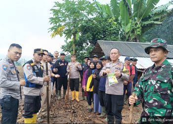 Polsek Cipatat Gelar Penanaman Jagung Serentak, Dukung Program Polda Jabar