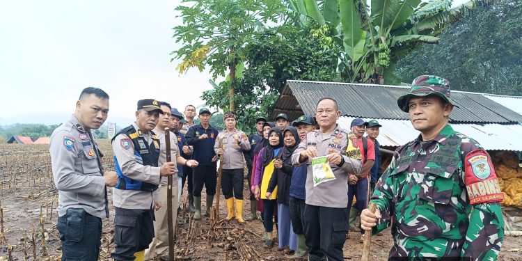 Polsek Cipatat Gelar Penanaman Jagung Serentak, Dukung Program Polda Jabar